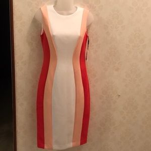 Calvin Klein Sheath Dress size 4 NEW WITH TAGS!